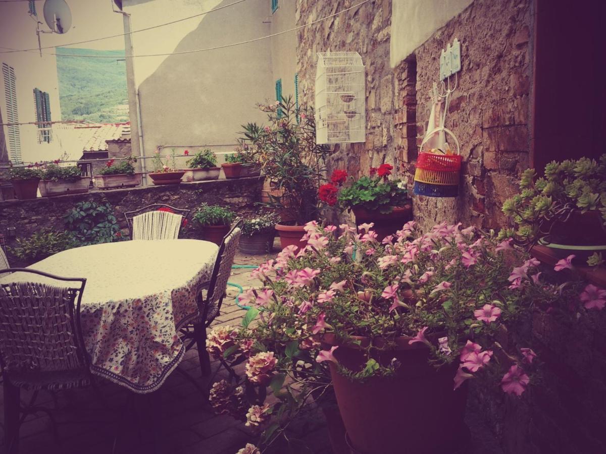 Dimora Toscana Apartment Seggiano Exterior photo